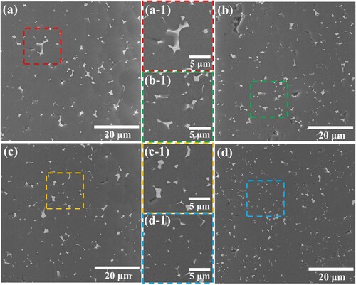 Figure 11. SEM images of the polished surfaces of sintered specimens with varying solid loading: (a) 50 vol.%, (b) 55 vol.%, (c) 60 vol.%, and (d) 65 vol.%. The white and gray areas correspond to SmAlO3 phases and AlN matrix, respectively.