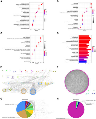 Figure 7 GO and KEGG pathway enrichment analyses of the PPI network (p-value ≤ 0.05). (A) The top 20 biological processes. (B) The top 20 cellular components. (C) The top 20 molecular functions. (D) The top 20 KEGG pathways. The color scales indicate the different thresholds for the p-values. (E and G) The GO enrichment of the PPI network using the ClueGo plugin. Show only pathways with ***P≤0.001. (F and H) The KEGG pathway analysis of the PPI network using the ClueGo plugin. Show only pathways with *P≤0.05.