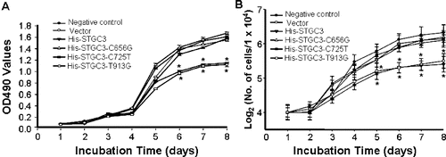 Figure 2. Cell growth analysis of CNE2 cells with wild-type and mutant STGC3 gene expression. Growth curve generated by MTT assay (A). Growth curve generated by Trypan blue staining (B). Each experiment was performed three times and data were expressed as x ± SD. *P < 0.05.