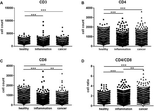 Figure 2 CD3+ (A), CD4+ (B), CD8+ (C) T cell counts and CD4/CD8 (D) ratio in physical examination, inflammation and cancer population (**P < 0.01; ***P < 0.001).