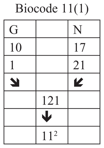 Figure 13 Connection of the rank of amino acids G and N.