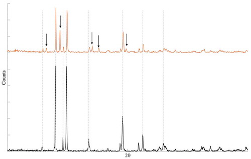 Fig. 5. XRD from (bottom line) nonirradiated TeO2 and (top line) solid TeO2 after 1.2 MGy irradiation in ABS with the sodium thiosulfate additive. Arrows point to the differences in the diffractograms identified as elemental tellurium. The coinciding TeO2 peaks are marked with lines