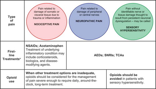 Figure 2. Recommended medication classes for the three types of pain pathophysiology.aBased on strength of clinical evidence. NSAIDs = nonsteroidal anti-inflammatory drugs; AEDs = antiepileptic drugs; SNRIs = serotonin-norepinephrine reuptake inhibitors; TCAs = tricyclic antidepressants.
