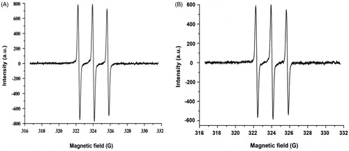 Figure 6. ESR spectra of Tempol (A) and PolyHb-Tempol (B).