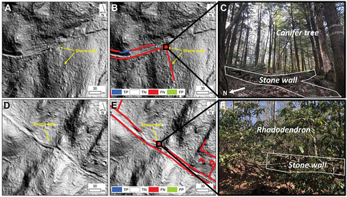 Figure 13. Example of poor-quality LiDAR hillshade image due to stone walls under canopy cover in Eastford town, CT. (A&D: NE hillshade map; B&E: U-Net S3 accuracy assessment result; C&F: photos taken from field work). Note that TN symbol is transparent.