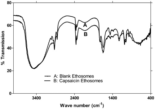 Figure 3. FTIR spectra of empty and capsaicin-loaded ethosomes. Similarity of spectra confirming the drug loading without any significant structural changes in vesicles.