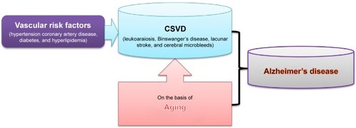 Figure 1 CSVD and Alzheimer’s disease.