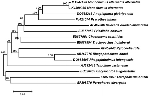 Figure 1. Neighbor-joining tree of the Monochamus alternatus alternatus and related 14 different species of coleoptera based on the genome sequence. Numbers labeled on the branch are bootstrap values.