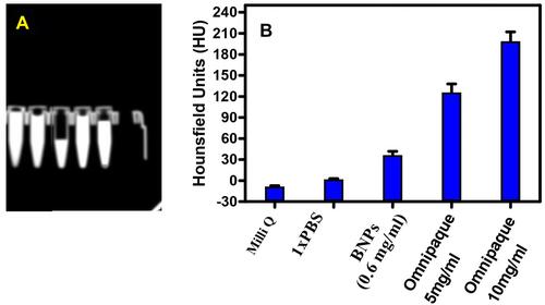 Figure 13 (A) CT images and (B) HU values of Milli Q, 1X PBS, BNP 0.6mg/mL, Omnipaque 5mg/mL and Omnipaque 10mg/mL (n=3).