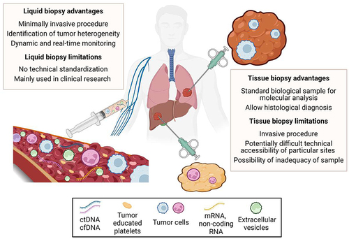 Figure 1 Comparison between tissue and liquid biopsy: advantages and limitations.