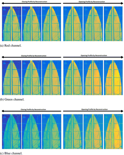 Figure 5. Morphological profiles for a disk shaped SE of sizes [1, 2, 4].