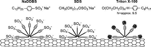 Figure 7. A schematic representation of adsorption behavior of surfactants onto the surface of CNTs. Reprinted from reference [Citation59].