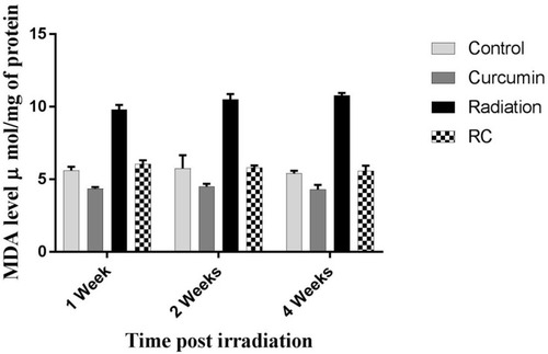 Figure 1 Effects of irradiation pre- and post-treatment with curcumin on MDA levels (µmol/mg of protein) at 1, 2, and 4 weeks post-irradiation.