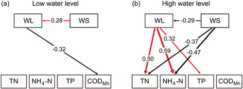 Figure 9. Path diagrams showing how water levels affect nutrient parameters in Changhu Lake. Results derive from Pearson correlation coefficient analysis. The values along the pathways represent Pearson correlation coefficients, and arrow thickness is proportional to the correlation coefficients. Pathways were selected only if p < 0.05. Red arrows represent positive relationships, and black arrows represent negative relationships. TN, total nitrogen; NH4-N, ammonia nitrogen; TP, total phosphorus; CODMn, chemical oxygen demand; WL, water level; WS, wind speed.