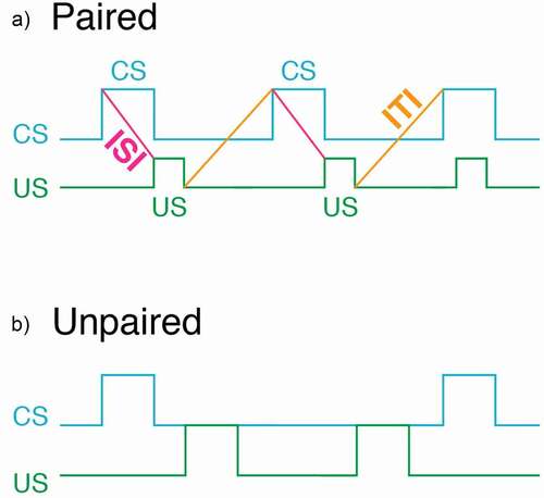 Figure 5. A schematic diagram of the sequence of the CS and US in both paired (a) and unpaired (b) training. We advocate using the “non-overlap” procedure. In this procedure the CS terminates prior to the administration of the US. This procedure has the advantage that conditioned responses are easily observed without the presence of the US. In the “overlap” procedure the US is presented sometime during the presentation of the US