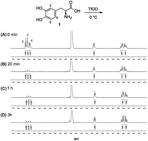 Fig. 1. Time-course H/D exchange for l-DOPA (1) treated with TfOD at 0 °C by 1H-NMR spectrum in D2O.Notes: 1H-NMR of the reaction mixture at 0 min, 20 min, 1 h and 3 h are (A), (B), (C) and (D), respectively.