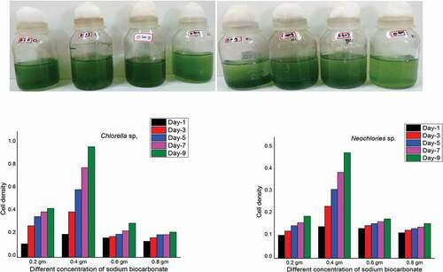 Plate 8. (a & b): Effect of Sodium bicarbonate on the growth of algal isolates