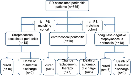 Figure 1 Flow diagram of recruitment of patients with enterococcus-associate (Group E), patients with Streptococcus-associated peritonitis (Group S) and patients with coagulase-negative staphylococcus peritonitis (Group CNS).