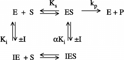 Scheme 2 Rapid equilibrium model for linear inhibition.