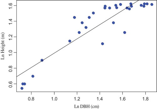 Figure 4. Regression between the logarithm of DBH and logarithm of height