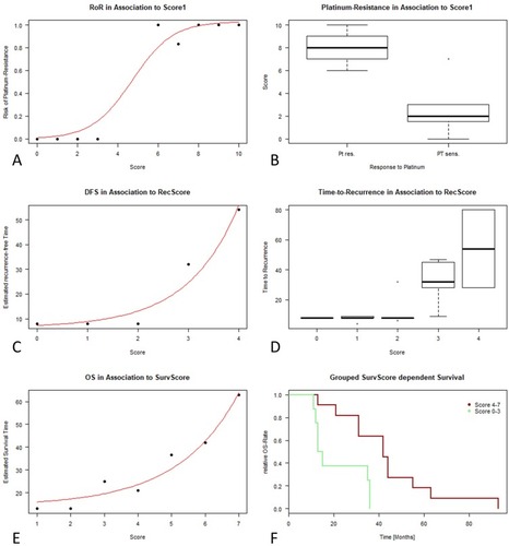 Figure 4 Calculation of scores predictive for platinum resistance (A), recurrence-free survival time (C) as well as overall survival time (E). Whereas the scores for both survival parameter (RecScore, SurvScore) lead to an exponential function, the Pt-sensitivity Score (Score1) results in a sigmoid curve. This is hardly remarkable, as with increasing score the risk of resistance approximates to 1, thereby reaching a plateau. When checking the risk-of-resistance score (Score1) for its predictivity against the appearance of platinum resistance, a clear separation of both groups can be observed (B). Similarly, when applying the RecScore to time-of-recurrence of each patient, low scores (0–2) predict a significantly shortened DFS, whereas high scores (3–4) lead to relatively long DFS times with medians between 40 and 60 months (D). Whereas scores 0 and 1 show exclusively short-time responser/survivor, score 2 shows first outliers with longer survival time, even when the overwhelming majority is still not responding at all. Similarly, low SurvScores (0–3) form a group of cancers with significantly shortened overall survival compared to higher scores (4–7) (F). In boxplots, outliers are depicted as dots.