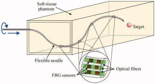 Figure 20. Model of needle body of flexible steerable needle reconstructed by FBG sensor.