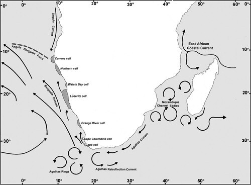 Figure 10. Map showing the major current systems and upwelling systems in the southeast Atlantic Ocean and the southwest Indian Ocean. Redrawn according to the maps by Hardman-Mountford et al. (Citation2003, ibid Figure 2) and by Lutjeharms and Bornman (Citation2010, ibid Figure 1). Grey zones along the coasts represent upwelling cells.
