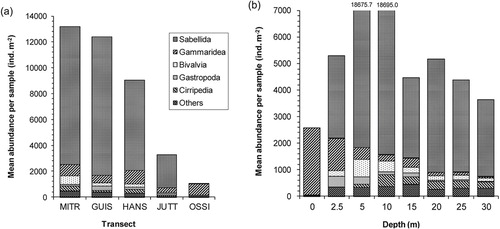 Fig. 9  Mean abundance of main “non-colonial” taxa in samples from (a) transects and (b) depths in Kongsfjorden, Svalbard.