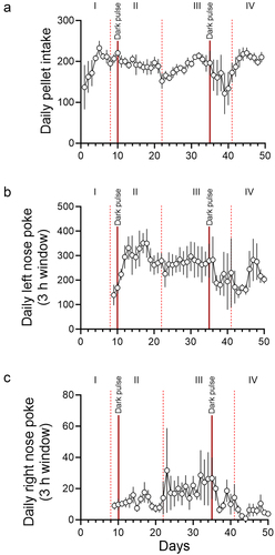 Figure 2. Daily changes in pellet intake, anticipatory rewarded left nose pokes, and anticipatory unrewarded right nose pokes. Daily pellet intake (pellets/day; A), anticipatory rewarded left nose pokes 3 h before the feeding schedule (pokes/3 h window; B), and anticipatory unrewarded right nose pokes 3 h before the feeding schedule (pokes/3 h window; C) are shown. The days in which light schedules were changed are indicated with vertical dotted lines. The days when incidental dark pulses were given to the mice are indicated with solid red lines. Roman numerals (I: ad libitum feeding, II: nighttime restricted feeding, III: 6 h light-dark cycle advance, IV: 9 h light-dark cycle delay). Data are presented as mean ±SEM (n = 5).
