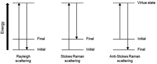 Figure 1. The energy-level diagram of Rayleigh scattering, Stokes Raman scattering and anti-Stokes Raman scattering.