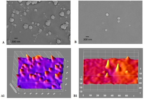 Figure 9 (A-B1): SEM image and ImageJ analysis. (A) Gold/chitosan NPs, size and shape, zeta size 160.3±36.17 (d, nm); (B) SEM image of EGCG/chitosan/TPP NPs with size of zeta size 414.8±333.8 (d, nm); (A1)ImageJ for (A and B1) ImageJ for (B) with peaks denoting the intensity of the NPs in each case. Scale bars 300 nm.