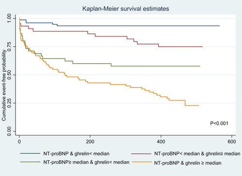 Figure 5 Kaplan–Meier curves of AHF events risk according to NT-proBNP and ghrelin levels.