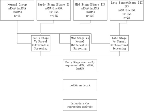 Figure 1. Flow chart of bioinformatics analysis.