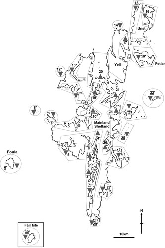 Figure 1. Map of Shetland showing the location of the 30 survey areas used for moulting Eider population surveys in 1996–2019 (see online Table S1 for additional details). Coastline and open water habitats were surveyed within the boundaries of each area (polygons or circles). Survey areas categorised as exposed coast are underlined (e.g. 1), those categorised as sheltered coast are not underlined (e.g. 2). Triangles indicate where counts significantly increased (pointing up) or decreased (pointing down) across years (1996–2019, P < 0.05; survey area 9 showed no significant trend). Fair Isle is situated 38 km southwest of the southernmost tip of Mainland Shetland. * indicates survey areas with no missing counts from 1996 to 2019.