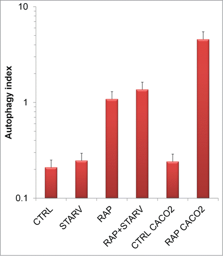 Figure 6. Autophagic flux quantifications. AIPD sensibility to alterations in the autophagy process allows a quantitative estimation by the ratio ALM/AP of the autophagic flux. Error bars represent the error propagated on the indirect estimation.