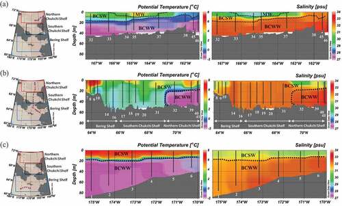 Figure 3. Sectional distribution maps of potential temperature and salinity. Vertically plotted black dots at each station mean sampling depth. ((a) St. 32–St. 46 in Northern Chukchi Shelf, (b) St. 7–St. 41 between Bering Shelf and Northern Chukchi Shelf, (c) St. 1–St. 6 in Bering Shelf).