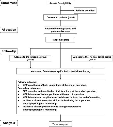 Figure 1 Flowchart of the study procedure.