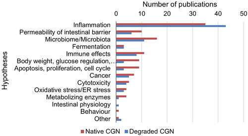 Figure 8. Hypotheses on adverse effects on the intestines of degraded and native CGN in the research publications.