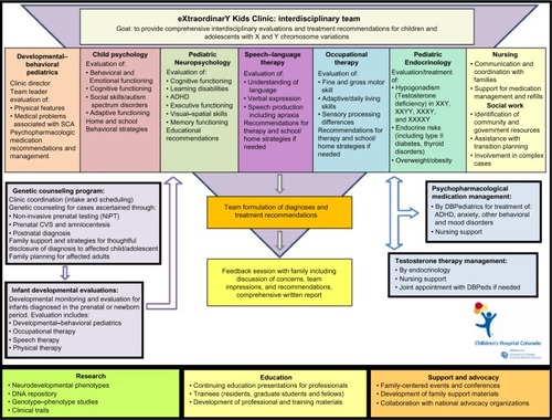 Figure 1 Diagram of eXtraordinarY Kids Clinic model.
