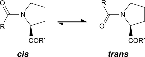 Figure 4 The cis and trans isomers of proline.