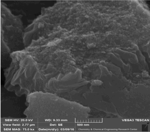 Figure 3. SEM images of CuO NPs.