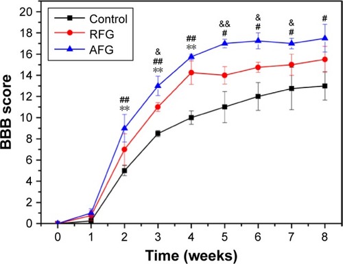 Figure 7 BBB score of the experimental groups. Data are expressed as mean ± standard error of the mean (n $ 8 for each group). #p < 0.05, ##p < 0.01 (AFG vs control at the same time point); **p < 0.01 (RFG vs control at the same time point); &p < 0.05, &&p < 0.01 (AFG vs RFG at the same time point).Abbreviations: AFG, aligned fibrin hydrogel; BBB, Basso-Beattie-Bresnahan; RFG, random fibrin hydrogel.