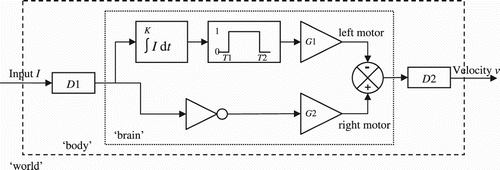 Figure 9. Diagram of a hypothetical circuit that could explain the discriminatory behaviour of the agents. D1 and D2 are delays (total delay: 25 units of time), ∫ I dt is the integral of the input signal I for K units of time, T1 and T2 are thresholds, and G1 and G2 are output gains.