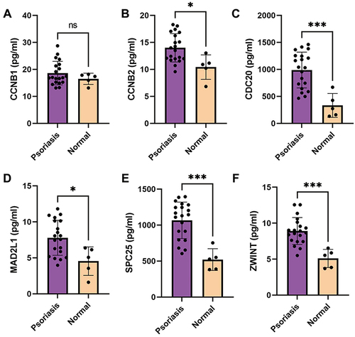 Figure 3 ELISA results. (A) CCNB1 expression in patients with psoriasis was not significantly higher than that in healthy individuals (P=0.5749). (B) CCNB2 expression in patients with psoriasis was significantly higher than that in healthy individuals (P=0.0105). (C) CDC20 expression in patients with psoriasis was significantly higher than that in healthy individuals (P=0.0004). (D) MAD2L1 expression in patients with psoriasis was significantly higher than that in healthy individuals (P=0.0115). (E) SPC25 expression in patients with psoriasis was significantly higher than that in healthy individuals (P=0.0001). (F) ZWINT expression in patients with psoriasis was significantly higher than that in healthy individuals (P=0.0003) (ns, P>0.05; *, P < 0.05; ***, P < 0.001).