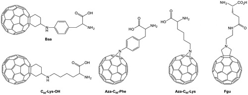 Figure 6. Selection of [60]fullerene amino acid derivatives.