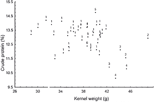 Figure 2 Scatter plot o'kernel weight and crude protein for lysine.