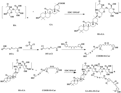 Figure 1. Polymerization scheme of GA-HA-SS-Cur.