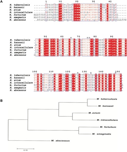 Figure 1 Multiple sequence alignments and phylogenetic analysis of Ddn sequences in MTB and its homologues of NTMs. (A) Multiple sequence alignments of Ddn of MTB and its homologues of NTMs. Shared amino acids are highlighted in red and stars mark non-shared amino acids selected for testing in this study. (B) Phylogenetic tree of MTB Ddn and NTMs Ddn homologous sequences constructed based on protein sequence similarity.