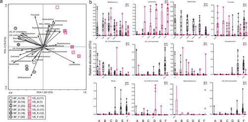 Figure 2. (a and b): Square root linear-contrast PCA of fecal samples of children and vaginal swab samples of mothers for children’s ages of less than 1 month to 48 months. (a) The biplot shows the weight and direction of bacterial genera and environment vectors in the Bray-Curtis distance matrix. Samples from each group are represented by different colors and symbols. Different patterns inside the symbols represent the different age groups. The numbers of mothers and children are provided in parentheses in the legend. (b) Comparison of relative abundance of 12 bacterial genera among more than 1% of total OTUs in fecal samples of children and vaginal swab samples of mothers for children’s ages of less than 1 month to 48 months. The bacteria, which were significantly different between fecal samples of children and vaginal swabs of mothers, are represented as **** p < .0001, *** p ≥ 0.0001 – < 0.001, ** p ≥ 0.001 – < 0.01, * p < .05. BF = fecal samples of children, VS = vaginal swab samples of mothers. A = less than 1 month old (BF = 18, VS = 16), B = 1–<3 months old (BF = 10,VS = 7), C = 3–<6 months old (BF = 23, VS = 19), D = 6–<12 months old (BF = 18, VS = 17), E = 12–<24 months old (BF = 18, VS = 12), F = 24–48 months old (BF = 30, VS = 15).