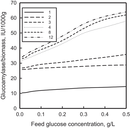 FIGURE 10 The effect of feed glucose concentration on glucoamylase output per unit mass of immobilized cells for cases 1–4, 8, and 12. The individual cases are identified in Table 1.